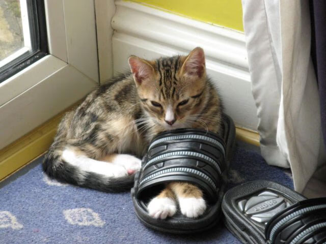 2019年季后赛:“水花兄弟”连续热火般的爆发,库里在关键的第四节多次神奇远投赢得比赛