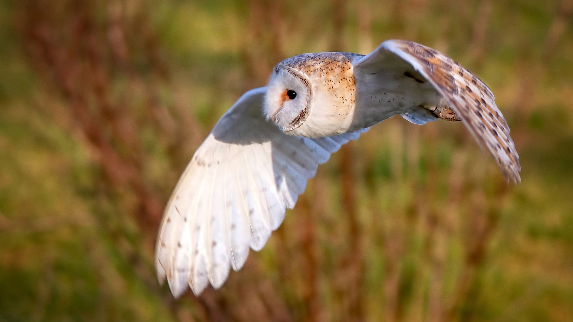 全场视角：从不同角度看比赛的超级合集，多角度看赛场的介绍