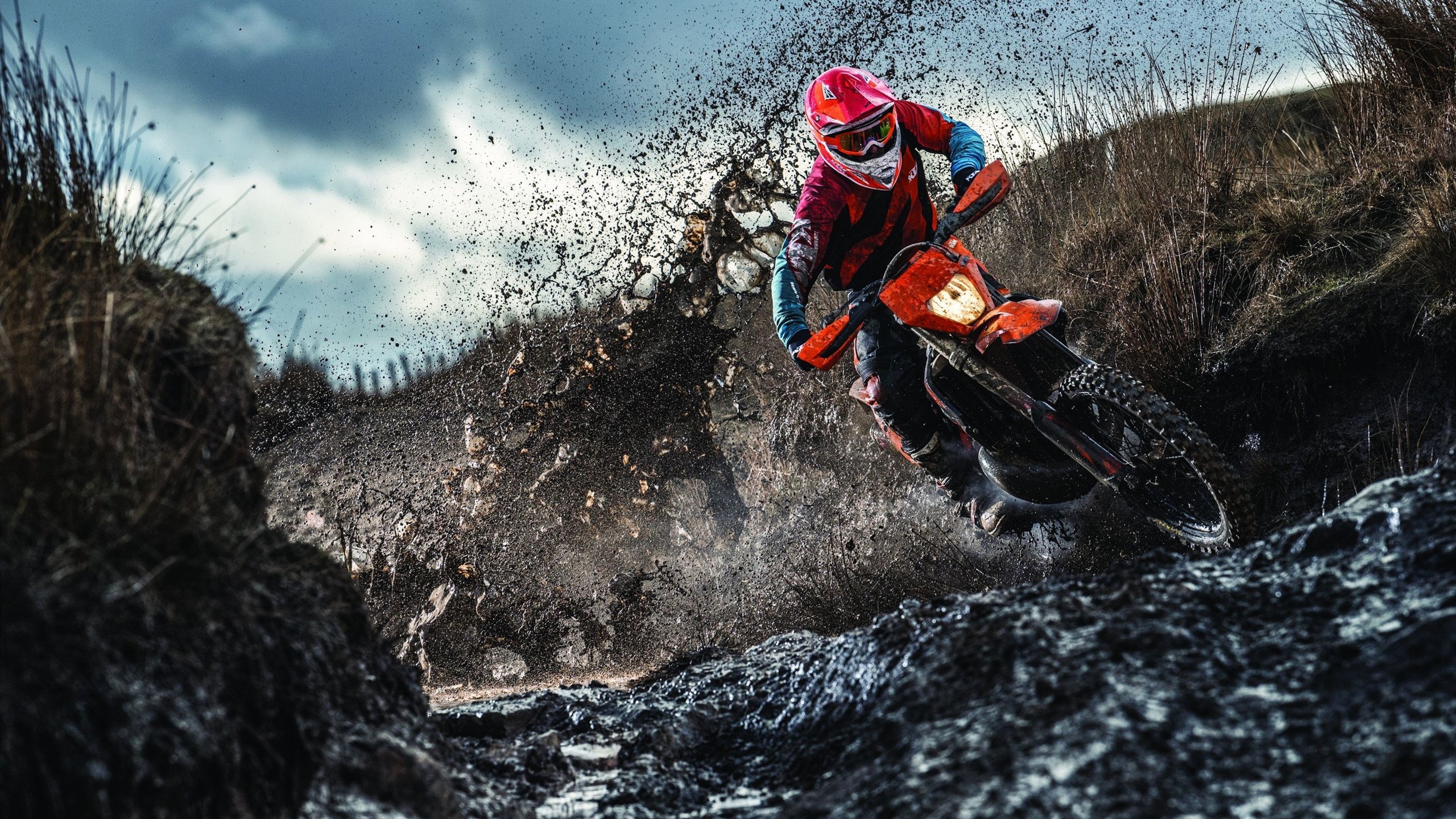 蛙泳中程中立代表队A节奏掌控到位，蛙泳中级