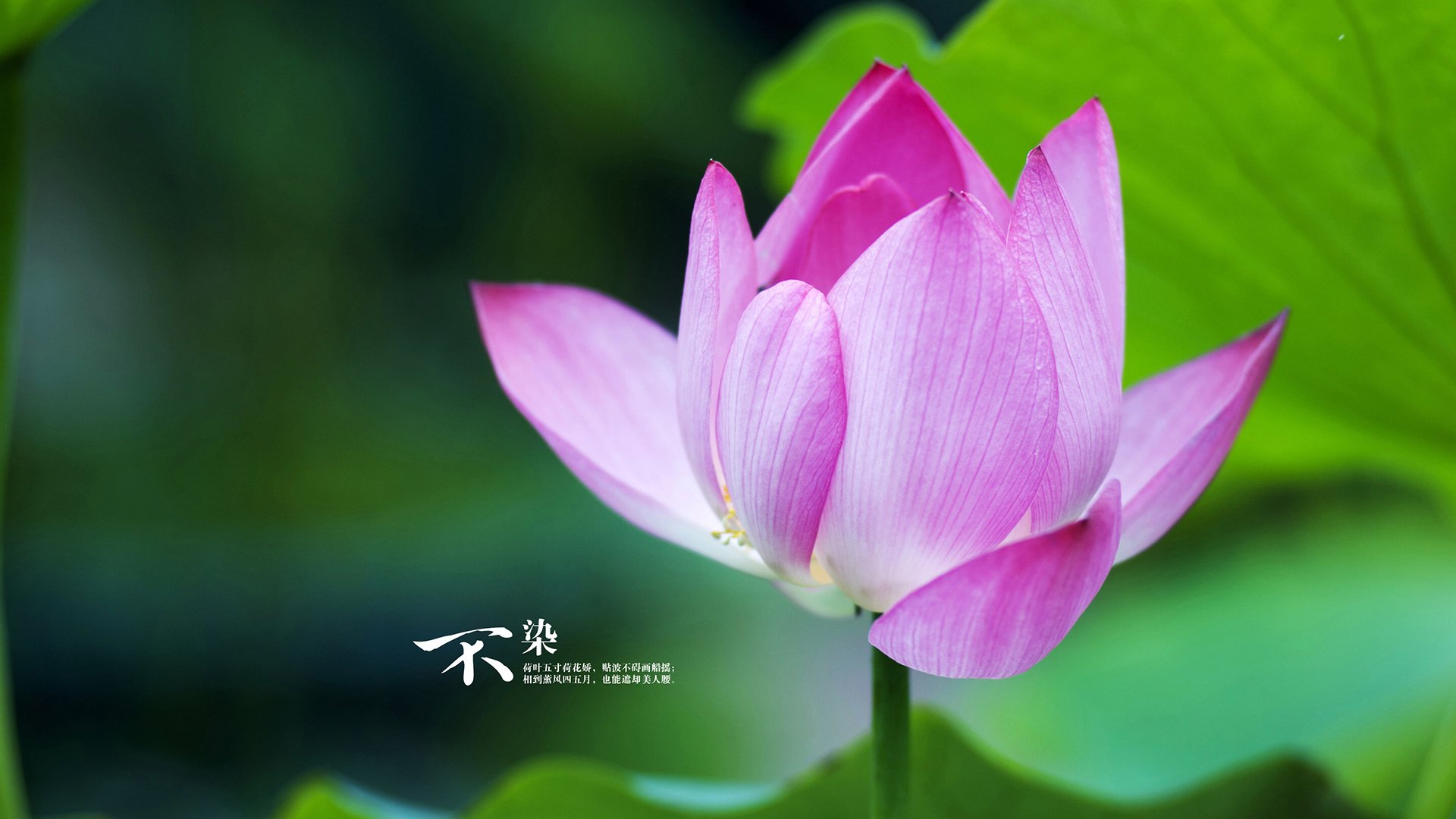 _年度新秀赛:发掘明日之星的成长舞台_,2021明日之星比赛获奖