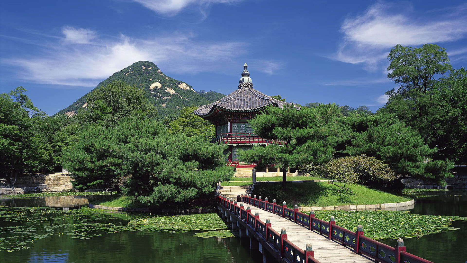 “球场火爆:现场最震撼的精彩瞬间”,球场上的精彩表演