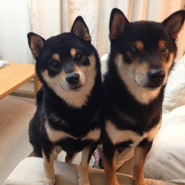 九游游戏中心官网-国际藤球邀请赛，东南亚运动风情浓厚，国际藤球联合会